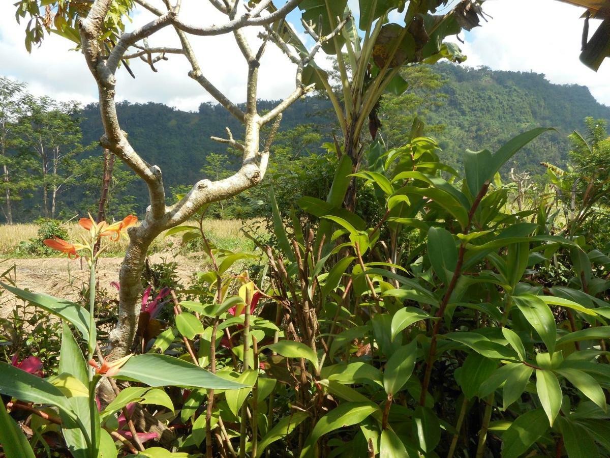 Bed and Breakfast The Bukit Artha Sidemen  Exterior foto