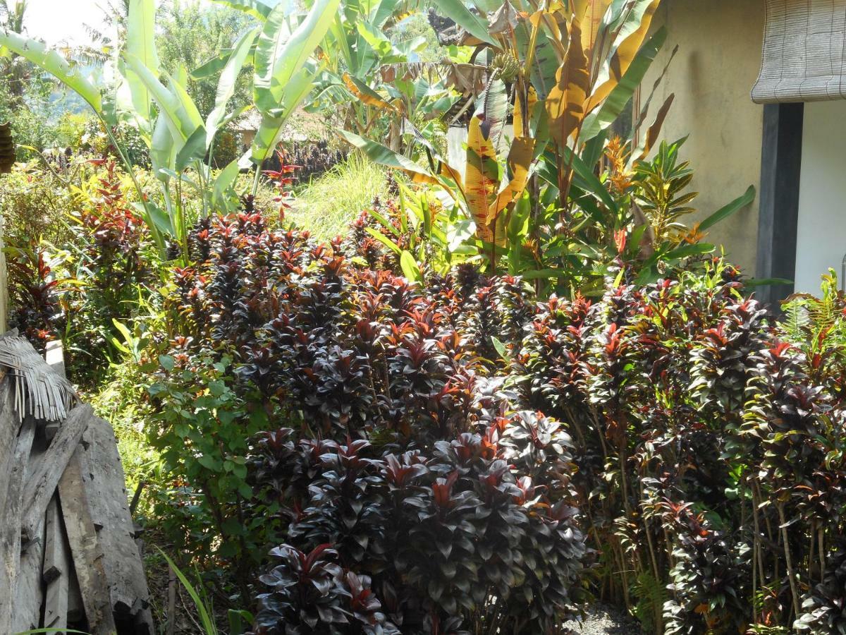 Bed and Breakfast The Bukit Artha Sidemen  Exterior foto