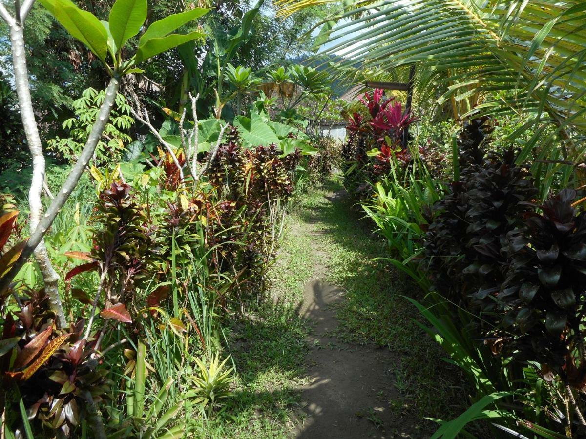 Bed and Breakfast The Bukit Artha Sidemen  Exterior foto