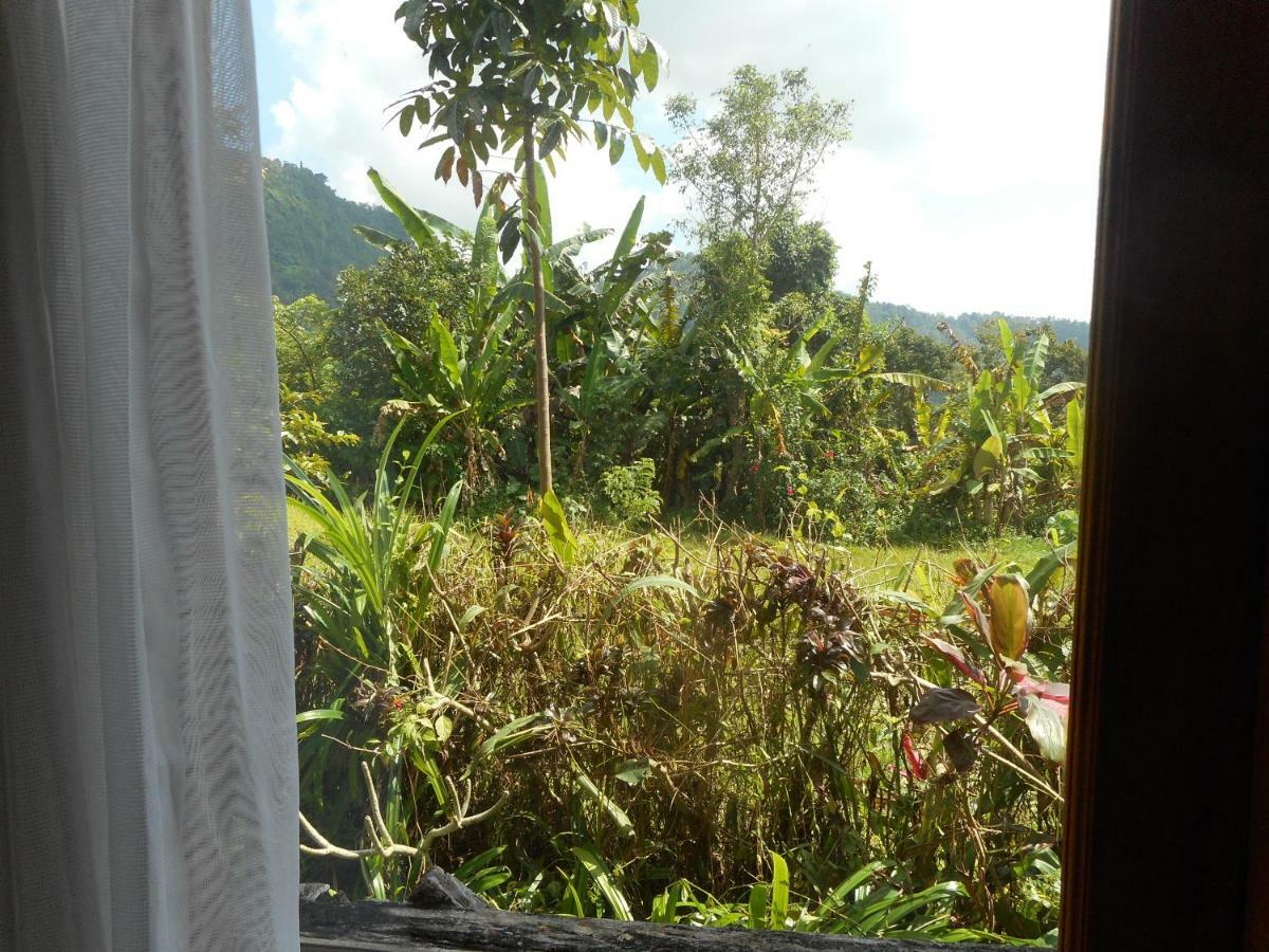 Bed and Breakfast The Bukit Artha Sidemen  Exterior foto
